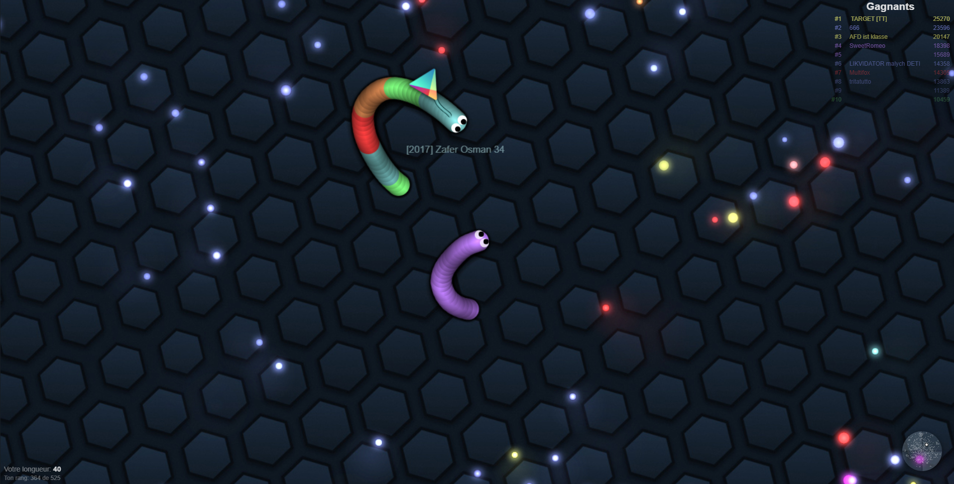 Image exemple du jeu Slither