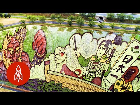 Des champs de riz dessinent des images au Japon