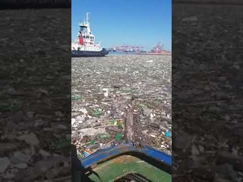 Accumulation de déchets dans le port de Durban en Afrique du Sud