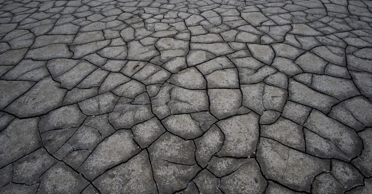 Cracked and parched ground in France during the historic summer 2026 drought