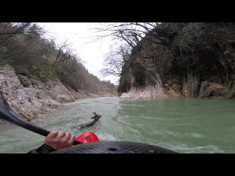 Un kayakiste sauve une biche de la noyade