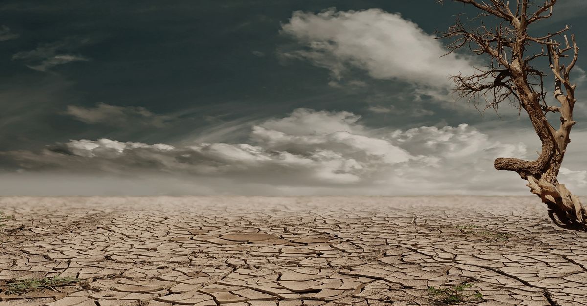 Ground cracked by drought and extreme heat, symbolising the heatwave in France in summer 2026