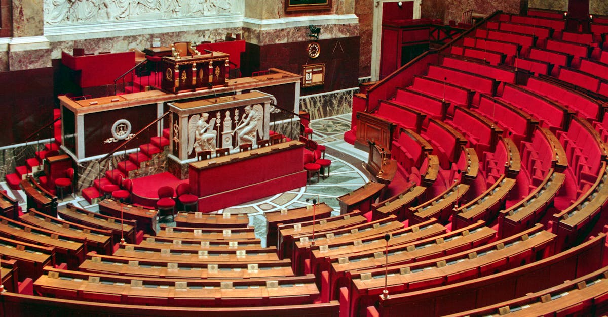 National Assembly unanimous vote repeal Code Noir slavery France history 2026