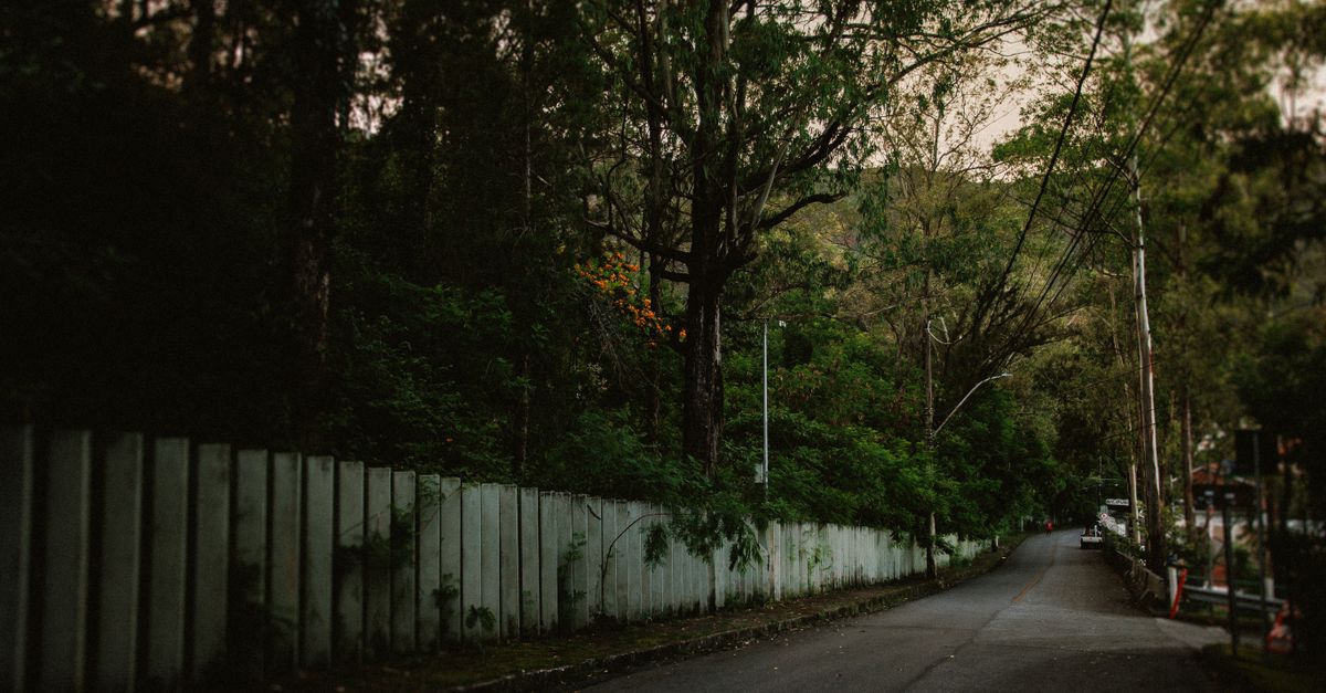 A noisy urban street contrasted with a peaceful and silent natural landscape
