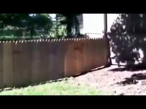 Fier de sa clôture pour empêcher son chien de sortir